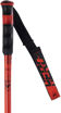 ROSSIGNOL ALPINE POLES HERO GS-SG