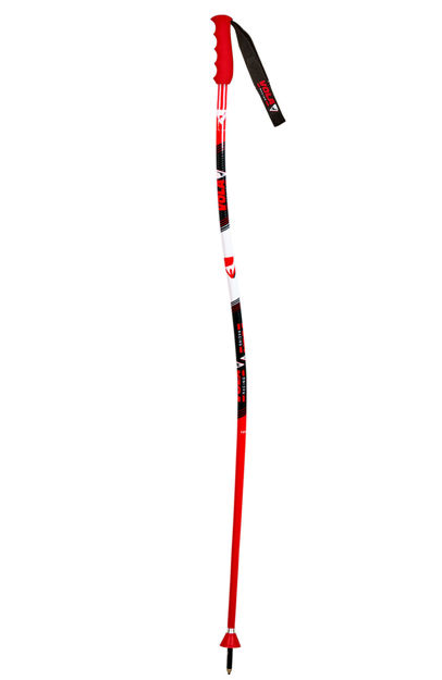 Picture of VOLA GS SKI POLE JUNIOR